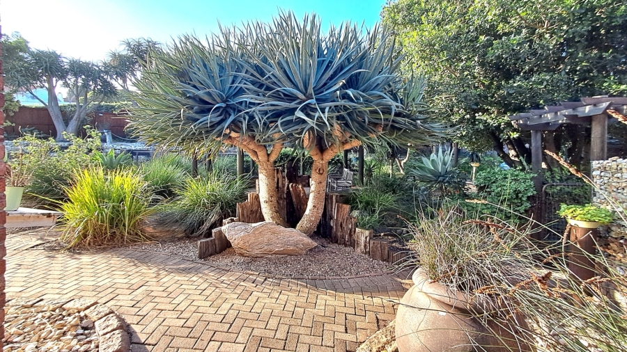 4 Bedroom Property for Sale in Seaview Eastern Cape